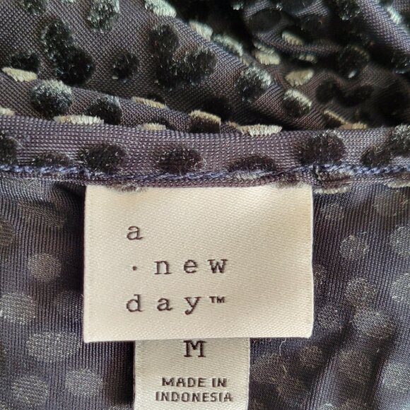 a new day Velvet Burnout Swiss Polka Dot Whimsigoth Fit and Flare Dress - Picture 8 of 9